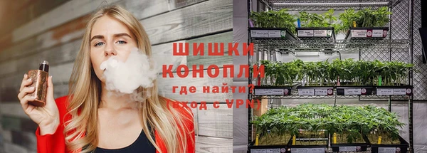 PSILOCYBIN Абинск