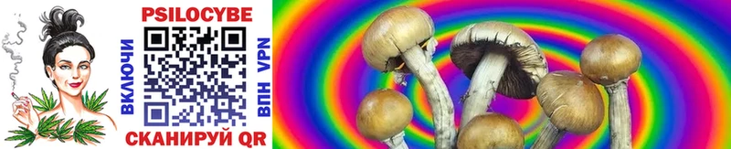 Псилоцибиновые грибы Cubensis Кириллов